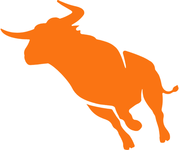 Bullhorn