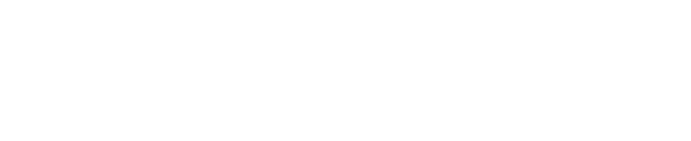Vincere